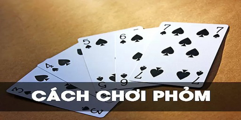 Đánh phỏm là như thế nào?