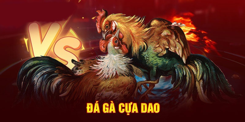 Đổi thưởng nhanh chóng và minh bạch khi tham gia Đá Gà Cựa Dao tại 68Win