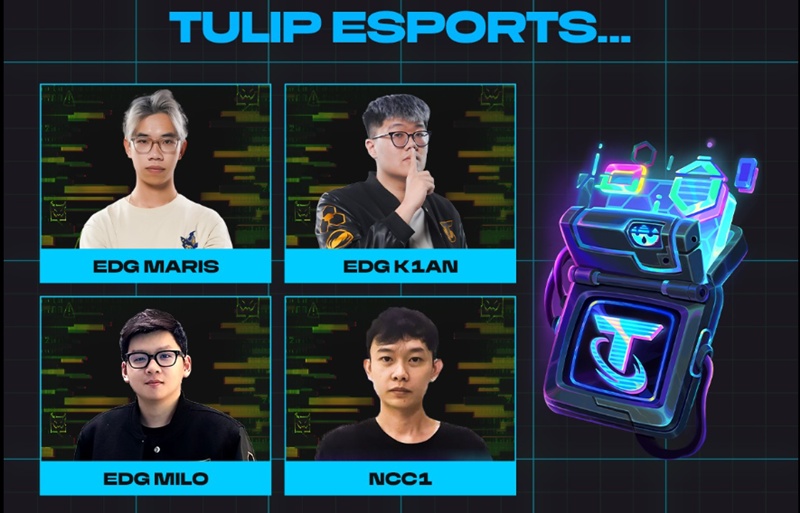 Esports Arena of Esports season 14: 4 Vietnamese players win the Esports World Cup 2025 - Photo 2