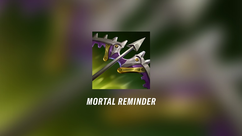 Speed: Detailed update 3.1b - Photo 3
