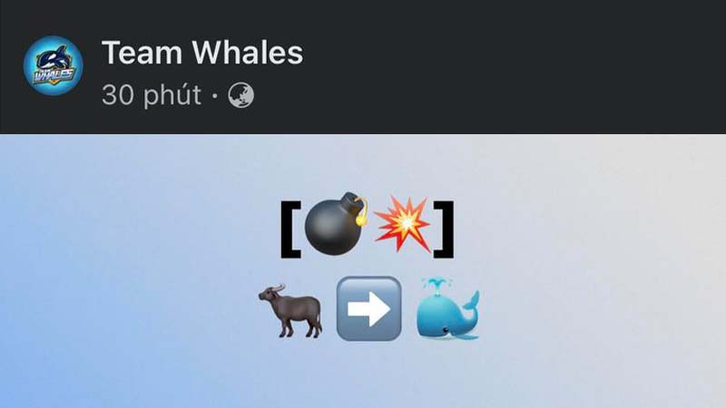 Team Whales is about to announce a blockbuster contract from SGB? - Photo 1